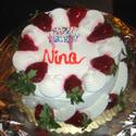 Nina's 65th Birthday